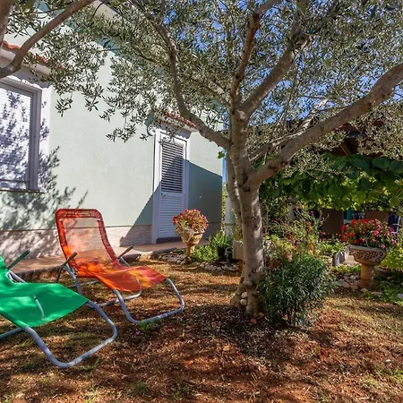 Beautiful In With 1 Bedrooms And Wifi Apartment *
